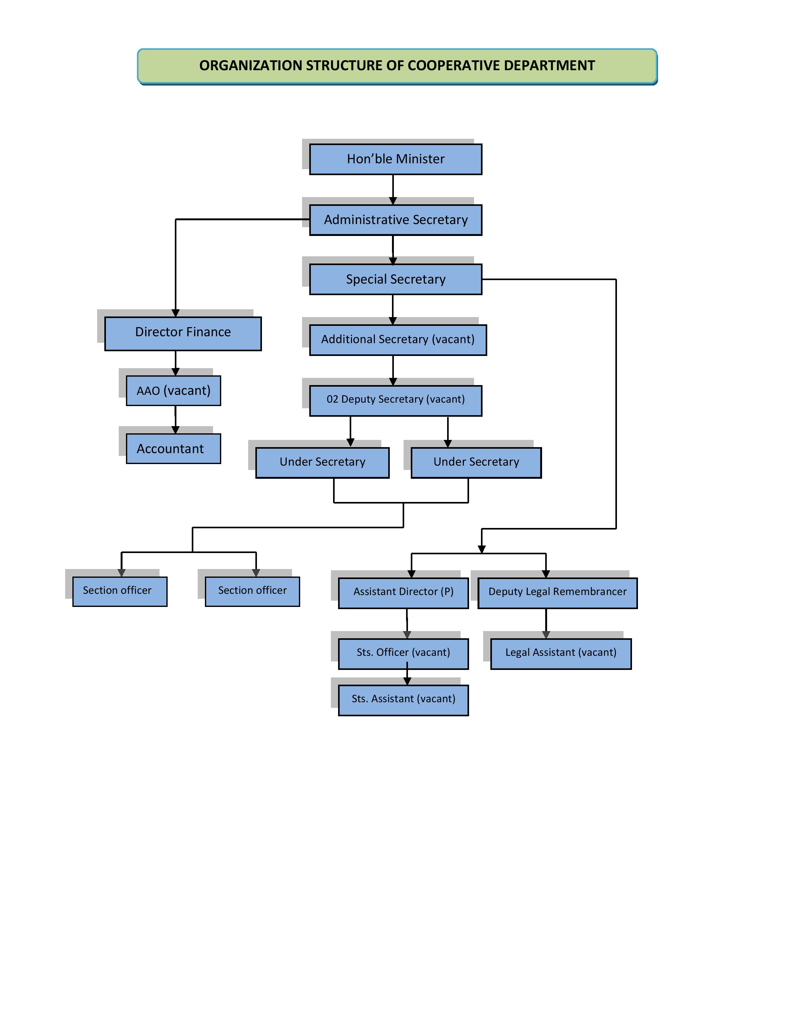 Organisation Chart